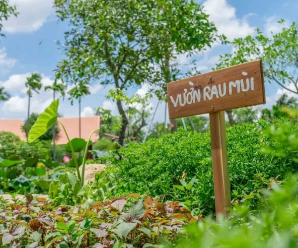 DSC07842-r7l08rq3vxr14e3y8qc33vowejcu3l3rzl3ksonpkw-jpg