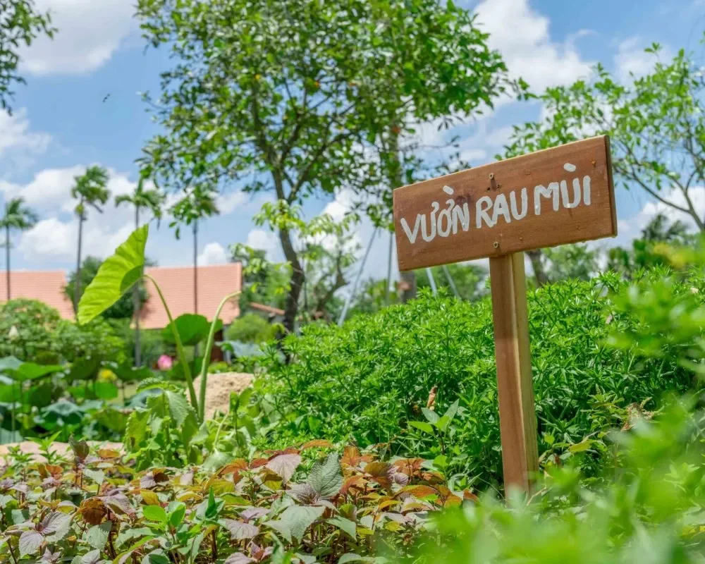 DSC07842-r7l08rq3vxr14e3y8qc33vowejcu3l3rzl3ksonpkw-jpg