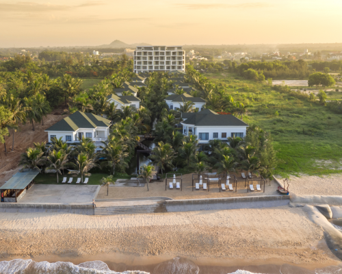 photo Le Palmier (12) news1