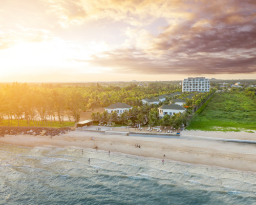 photo Le Palmier (69) 2